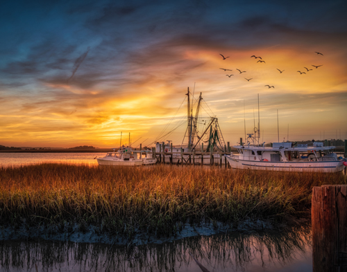 Sunset photo with ships, water, birds